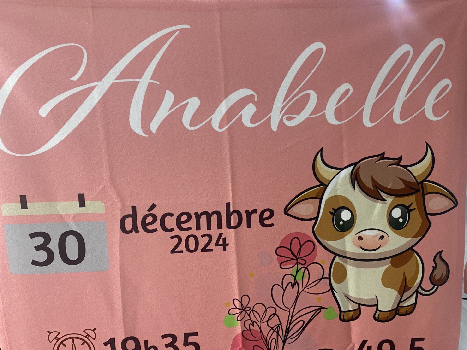 Couverture en molleton personnalisée pour bébé par Créations Rose – exemple 4