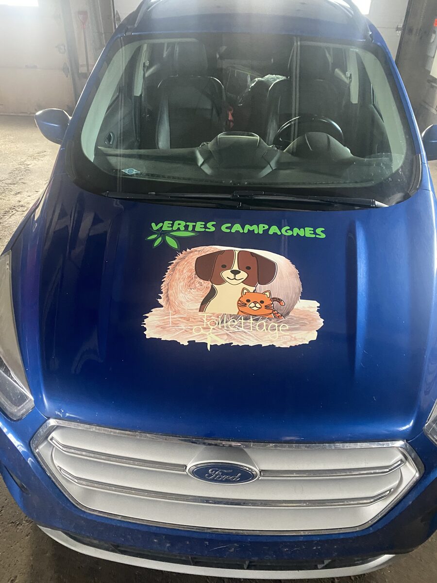 Décalque vehicule vertes campagnes toilettage mobile – Créations Rose, impression et personnalisation en Beauce
