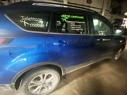 autocollant lettrage de voiture exterieur impression laminé