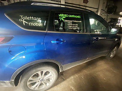 autocollant lettrage de voiture exterieur impression laminé